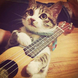 老公操死我好舒服好厉害视频
