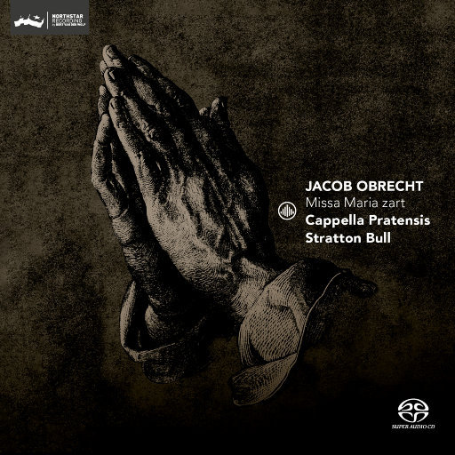 老公操死我好舒服好厉害视频
